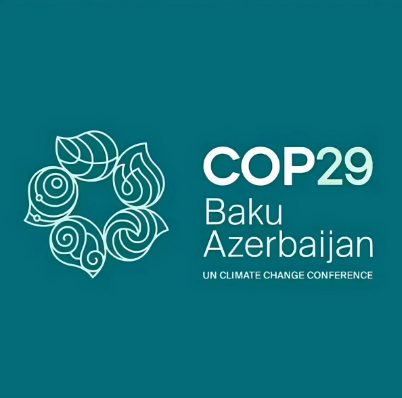 Conference of the Parties (COP 29)
